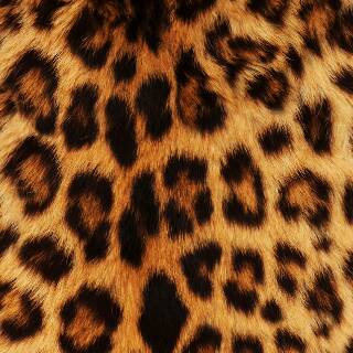 andre_brian1's profile banner image