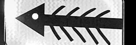 Цвета Еељ Kapпuнu banner