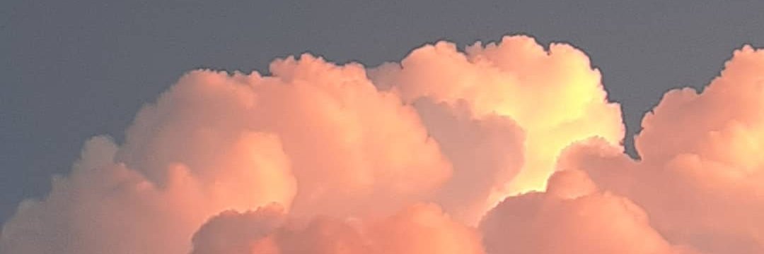 nerortega's profile banner image