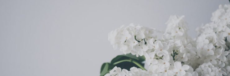 ImNatashaThomas's profile banner image