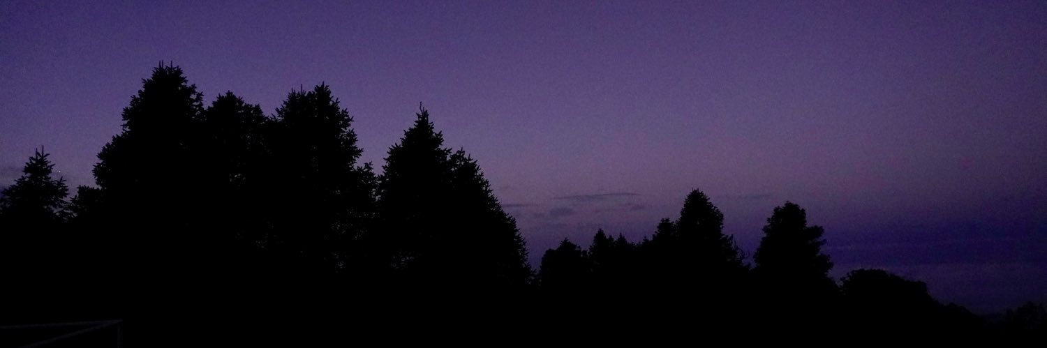 theverytiredboy's profile banner image