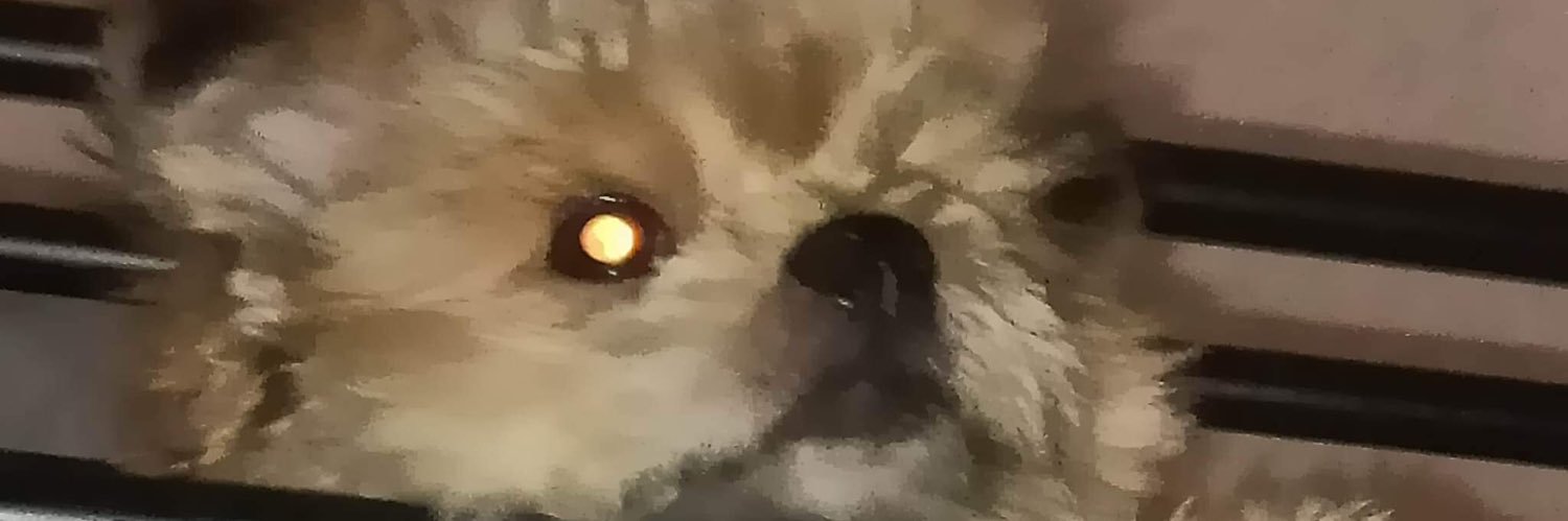 ejuwey's profile banner image