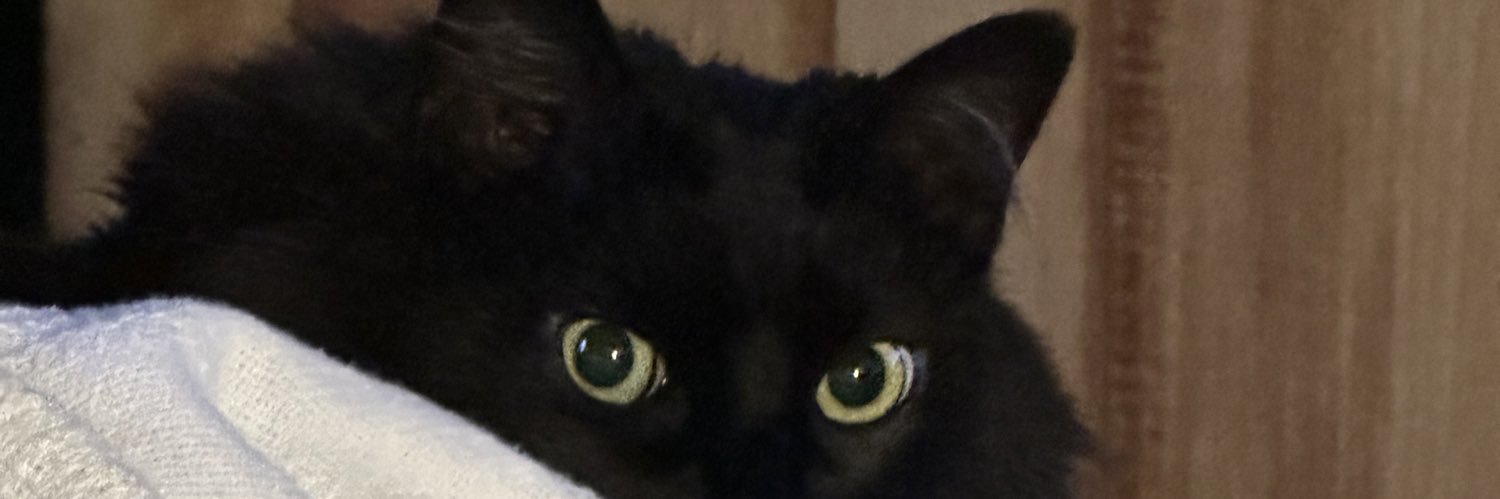 madamecroft's profile banner image