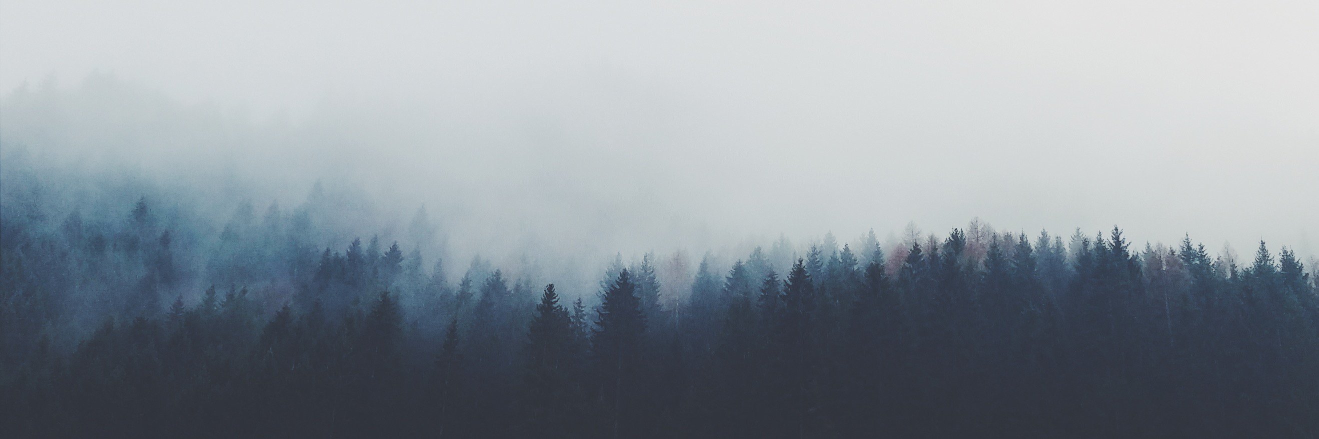 scrappyearthlin's profile banner image
