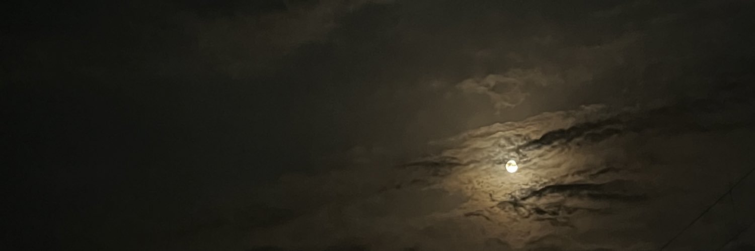 ashtheslayerr's profile banner image