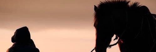 Haykingoff's profile banner image