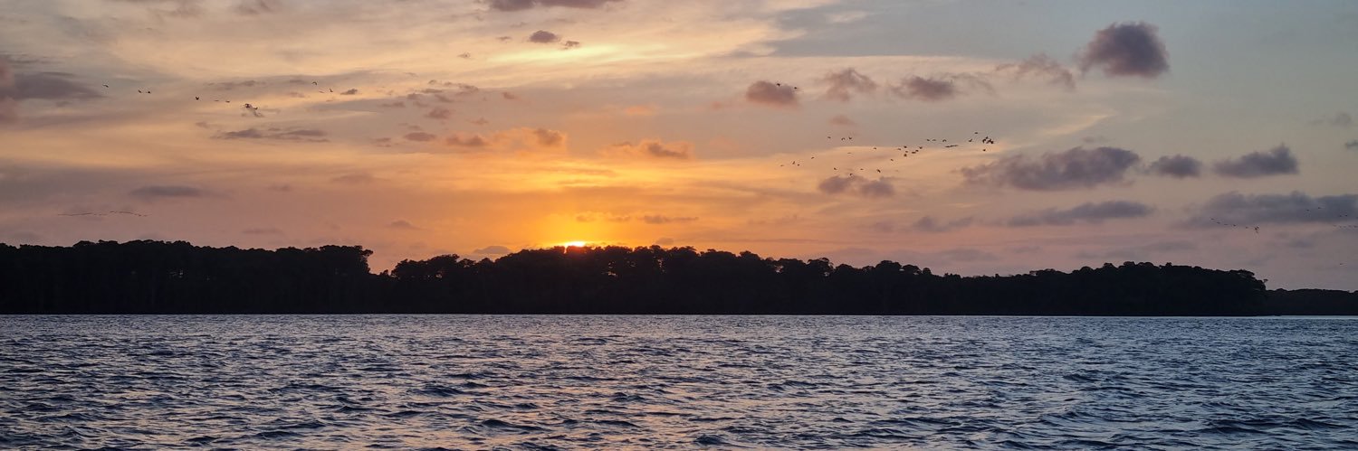 vitorlmeyer's profile banner image