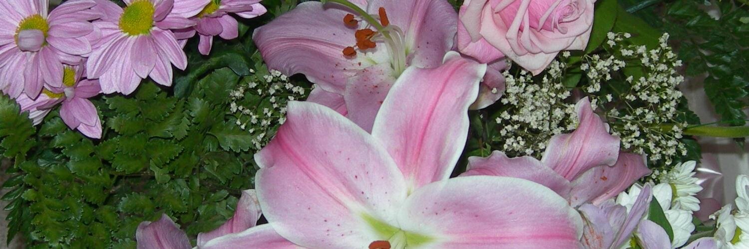 JanetM. (Monarchist) banner