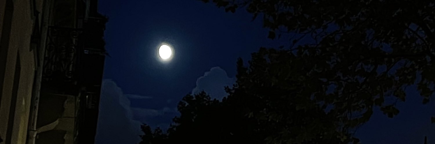 TrikiGhalia's profile banner image