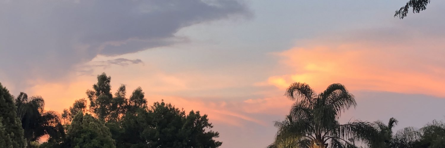 ConnorFox5's profile banner image
