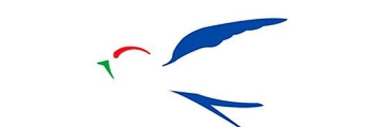 Biondino F. Mercuri banner
