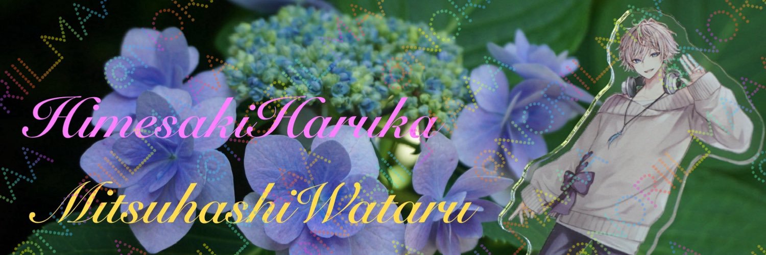 noriii banner