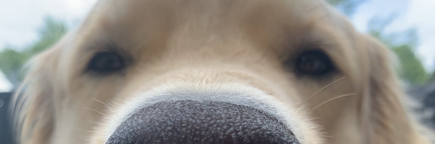sfligg12's profile banner image