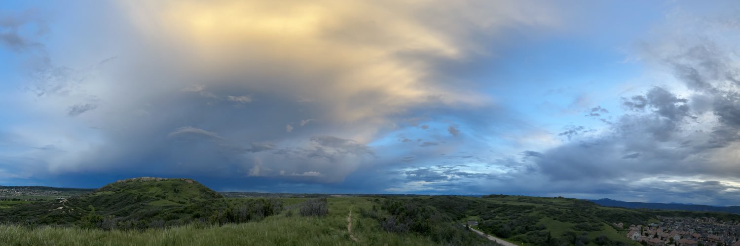 Ricky Manning banner