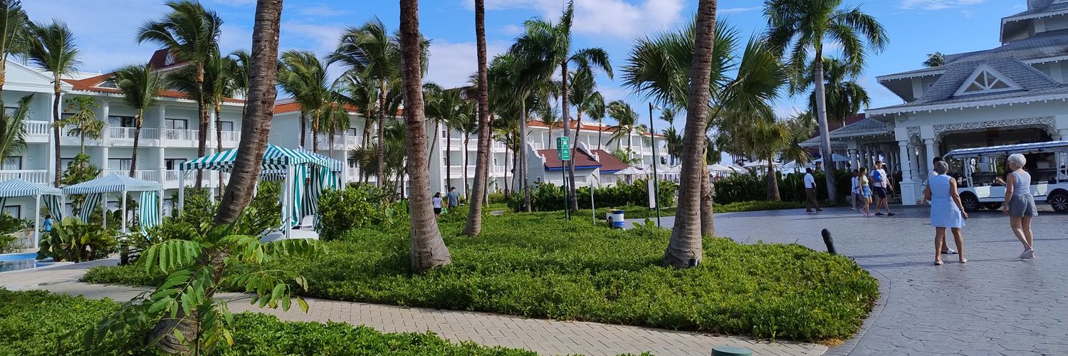 María Teresa banner