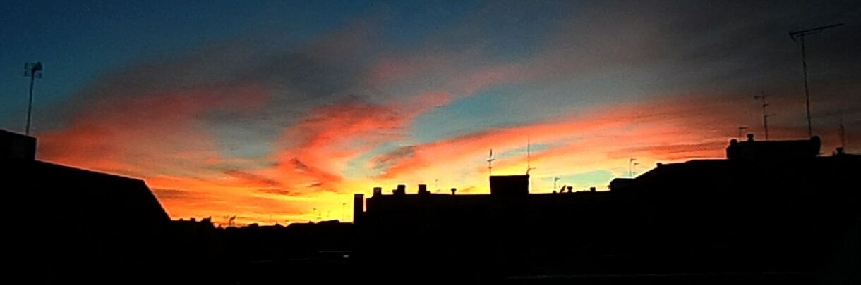 María Moraga banner