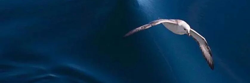 amac_ucmak's profile banner image