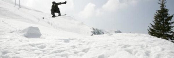 thedozza Profile Banner