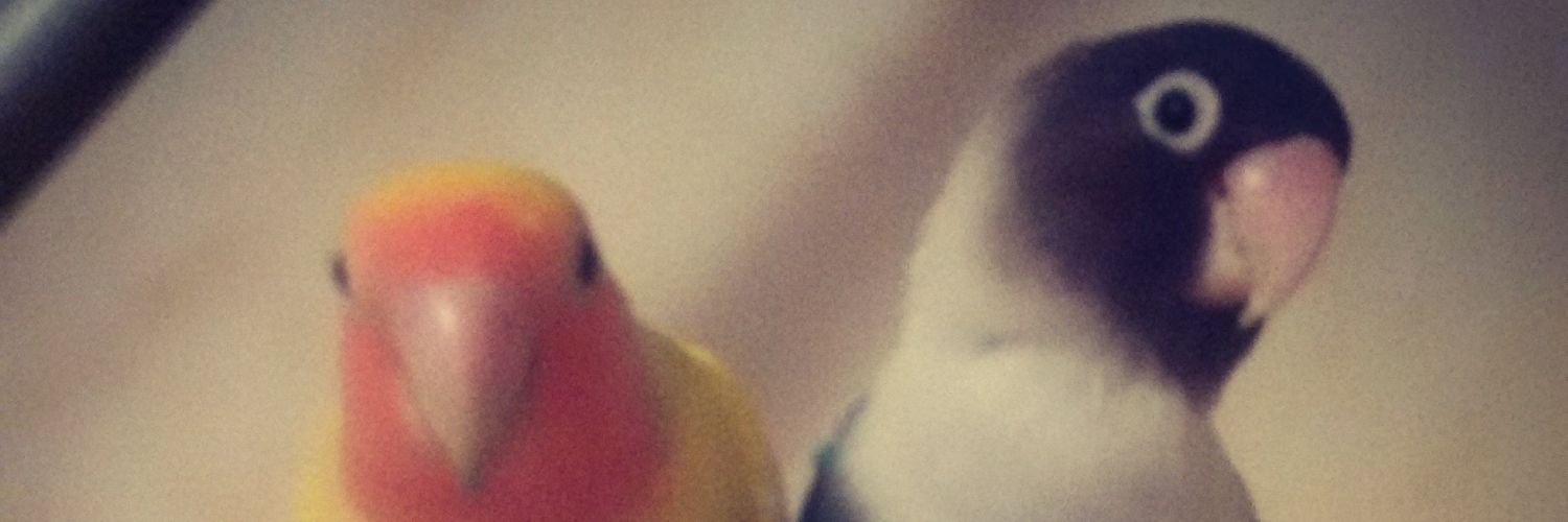 cesarkem2's profile banner image