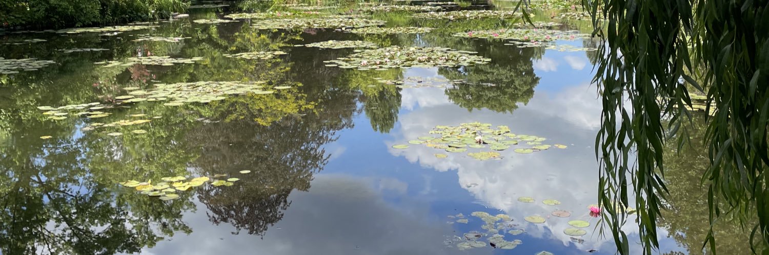 Daniel Wesener banner