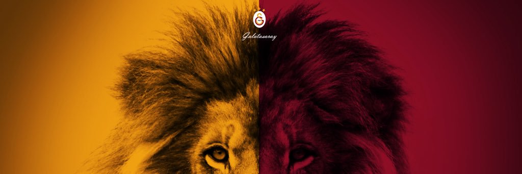 SahinSahinoglu's profile banner image