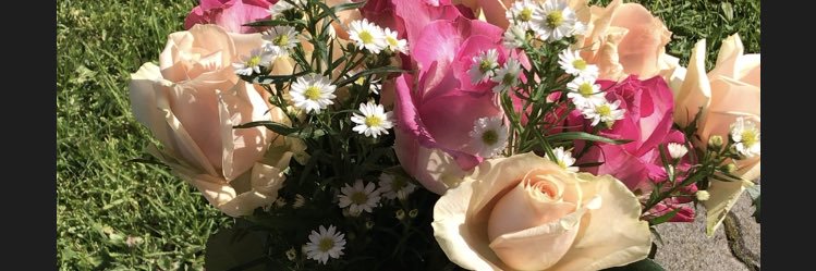 yandahcee's profile banner image