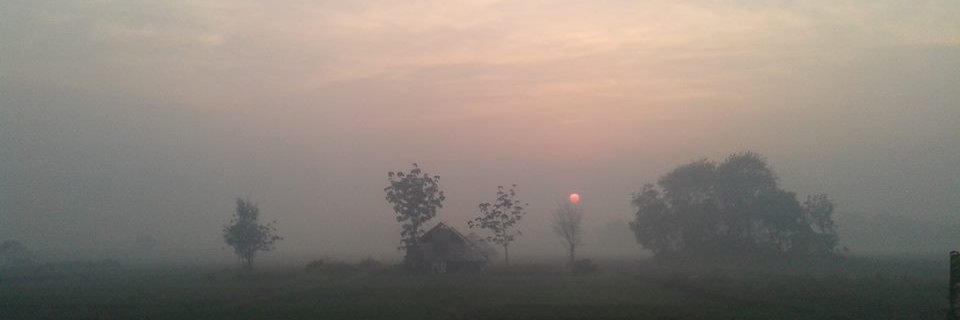 deccilosophy's profile banner image