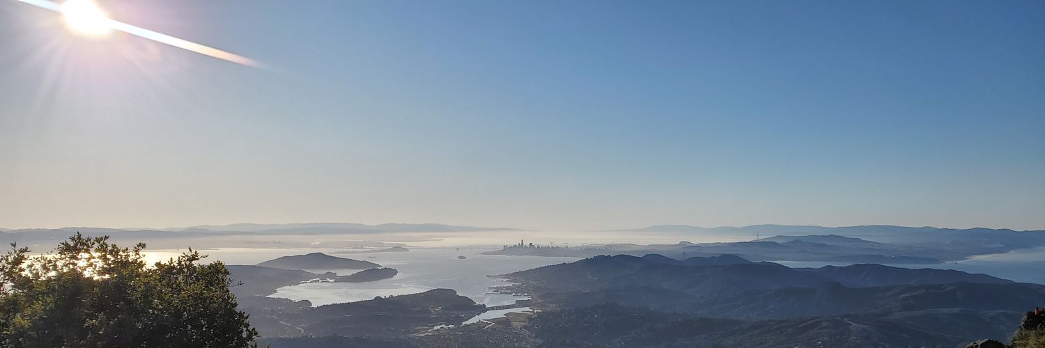 Dmitry Skaredov banner