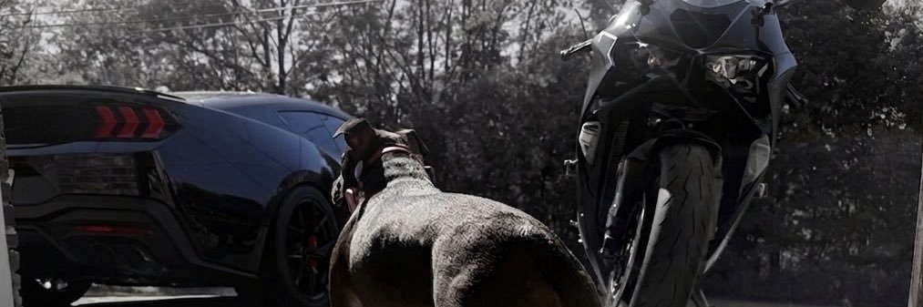 queen_steelo's profile banner image