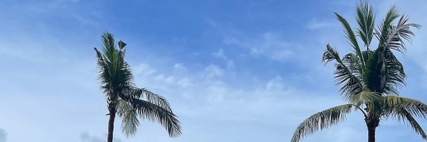 beeyotchWP Profile Banner