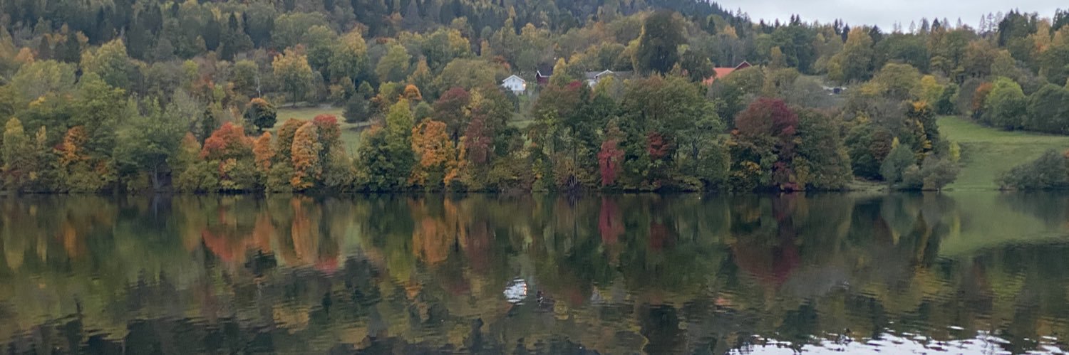 knutwangen's profile banner image