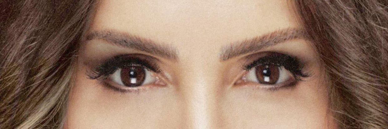 serenad bagcan banner
