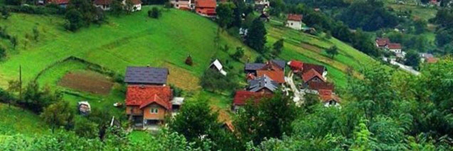 سـويـد الـغامـدي banner