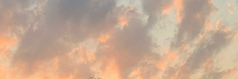 xdaydream_'s profile banner image
