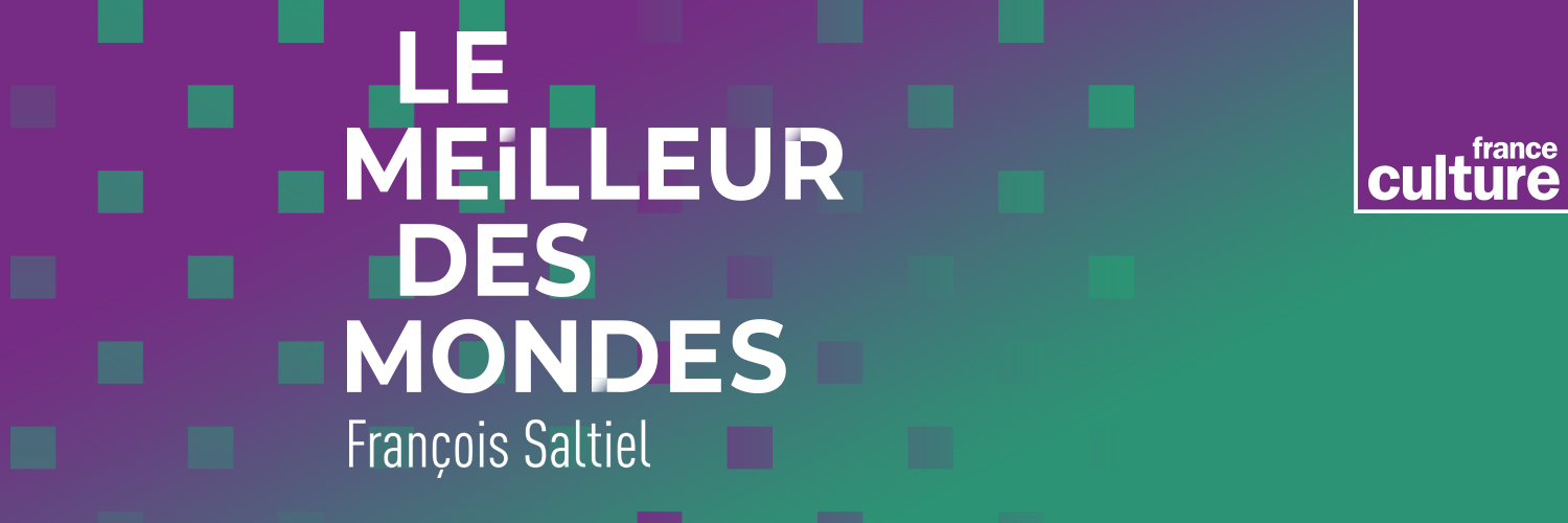 François Saltiel banner