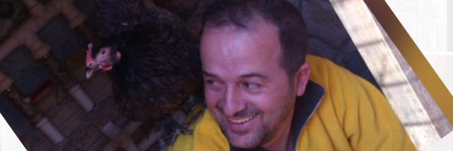 tibrahimoglu's profile banner image
