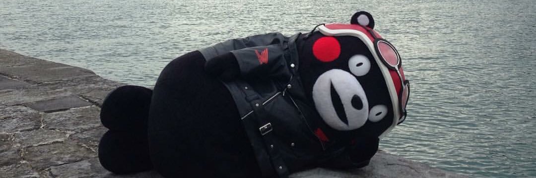 grayfox0220's profile banner image