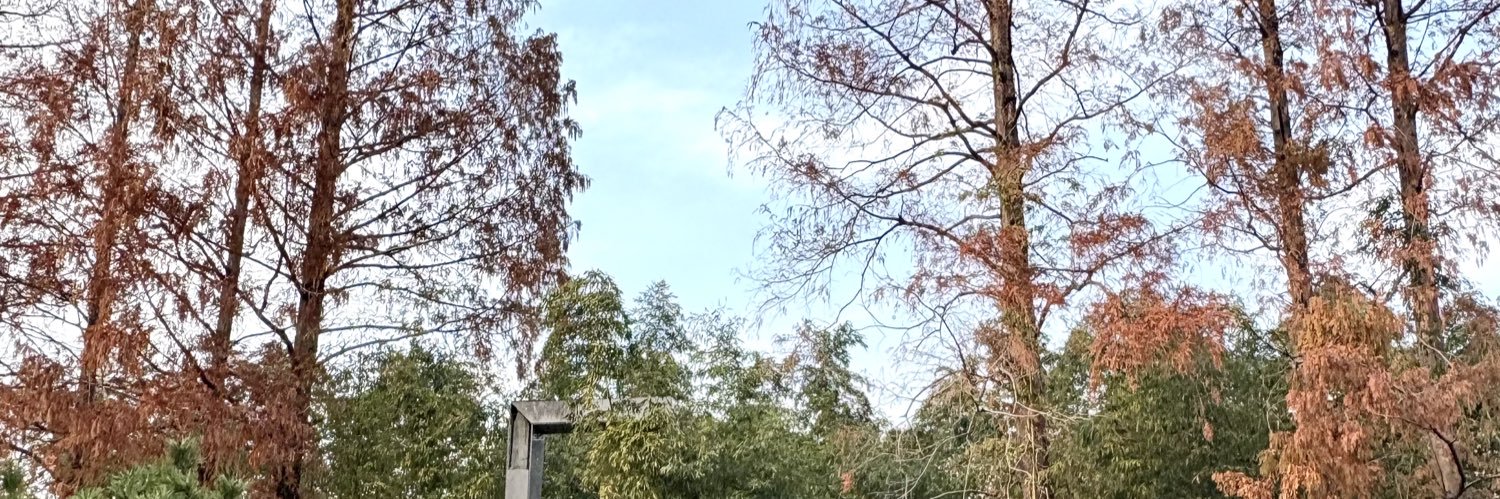 ณช 🩵🇹🇭 banner