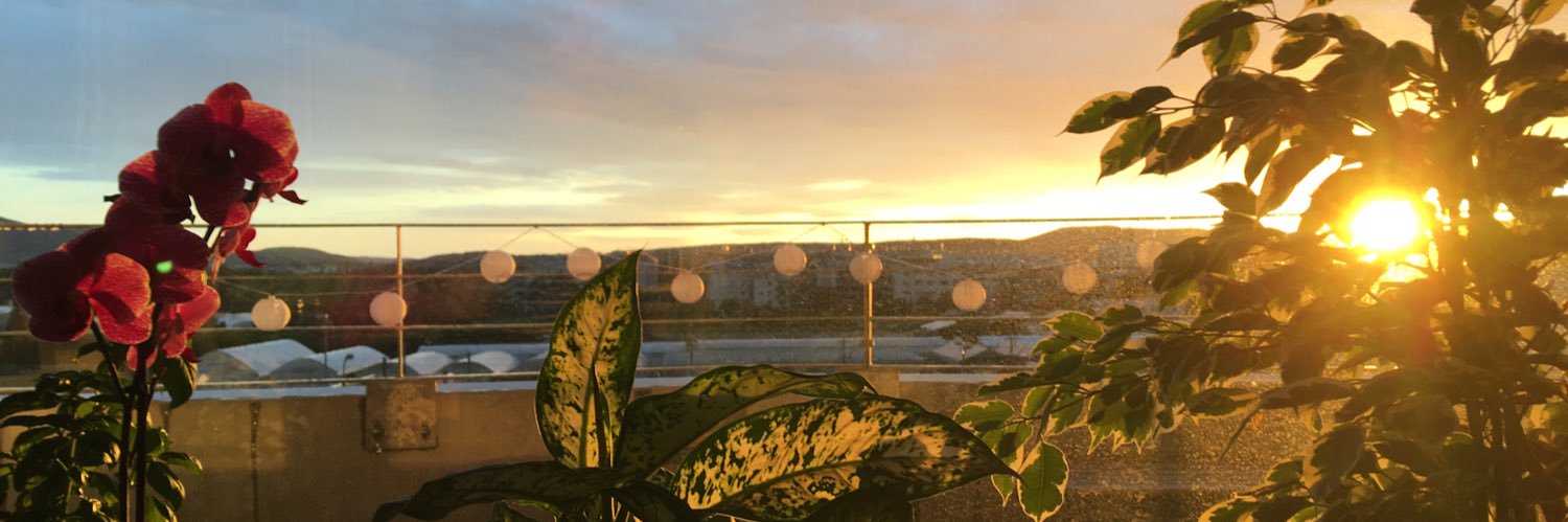 Jazz21_'s profile banner image