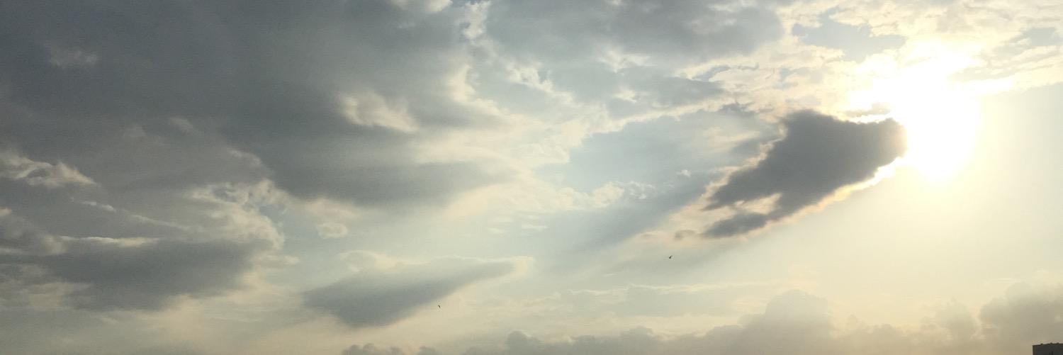 gomarena7's profile banner image