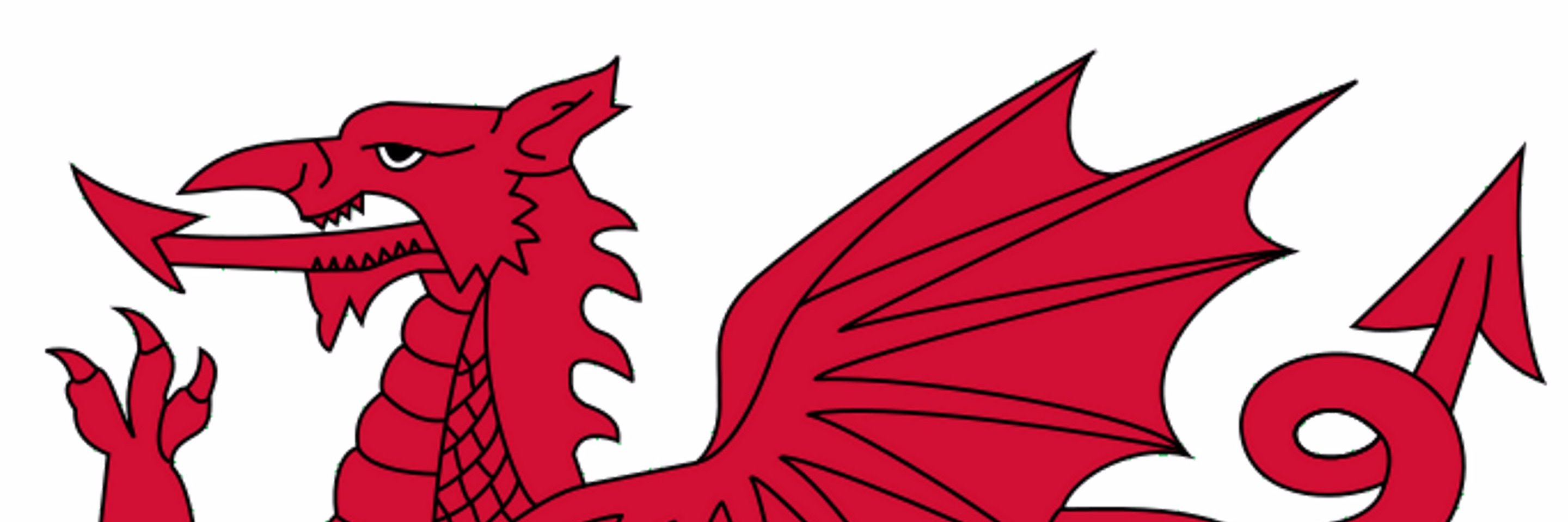 JazD71's profile banner image