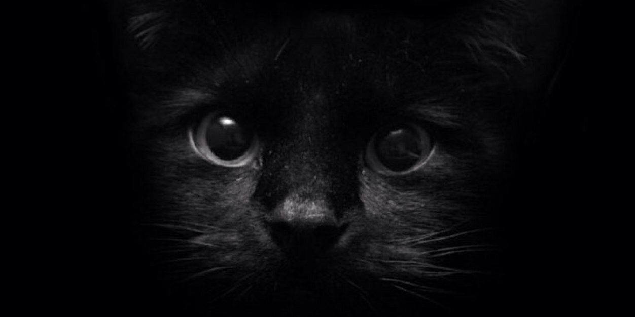 qodratullahh's profile banner image