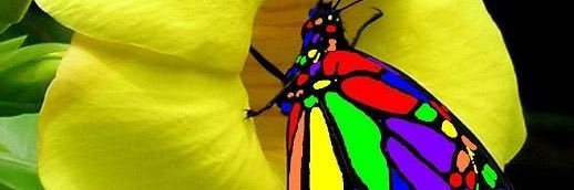 a1717b's profile banner image