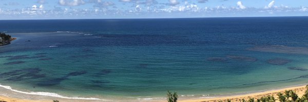frede730 Profile Banner