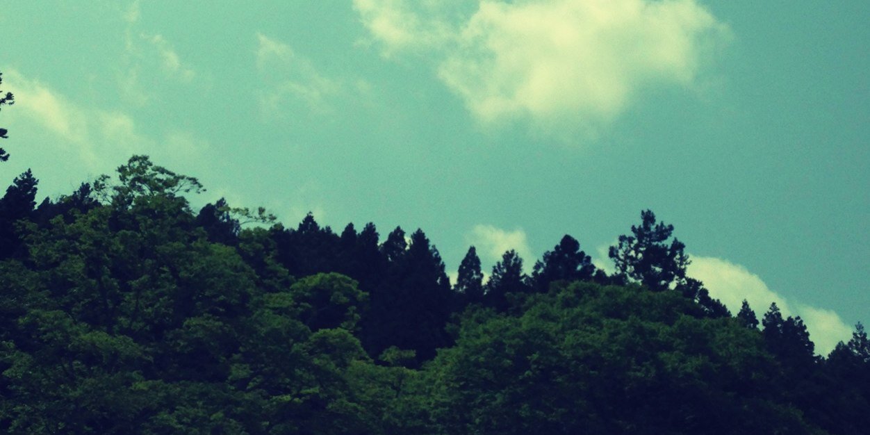 Kuri_Td's profile banner image