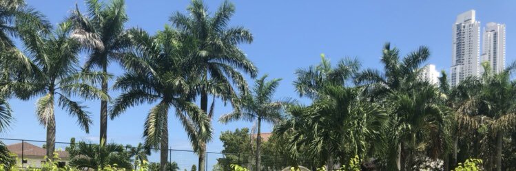 nickynicksss's profile banner image