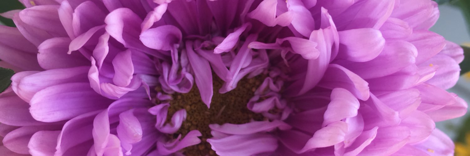 LauraAMcHugh's profile banner image