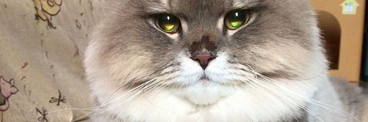 ozgedusgun's profile banner image