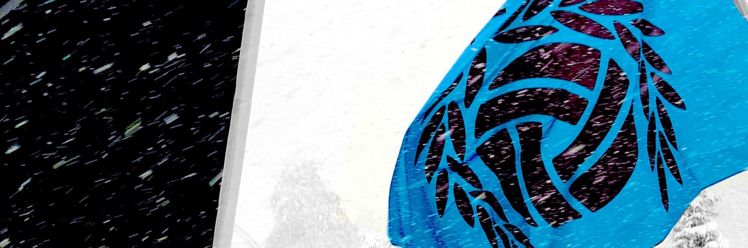 adanurofa's profile banner image