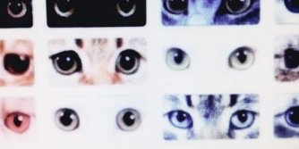 Swiftttr's profile banner image